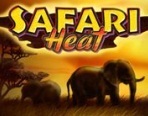 Safari_Heat_148х116